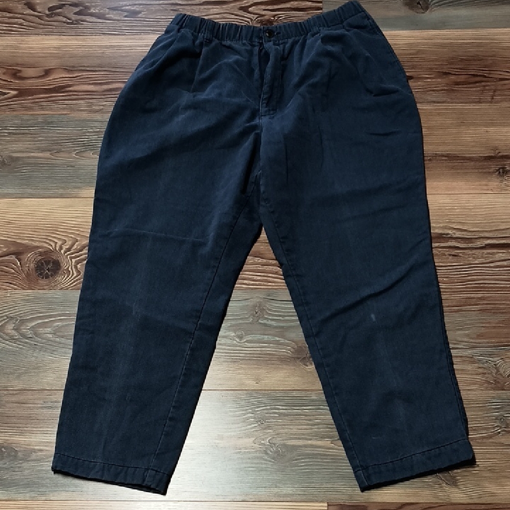L.L. Bean Blue Flannel Lined Pants Size 16P
